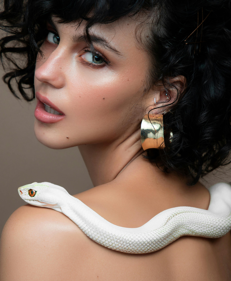 Earrings